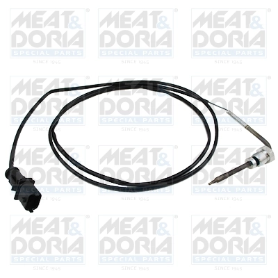 Sensor, exhaust gas temperature